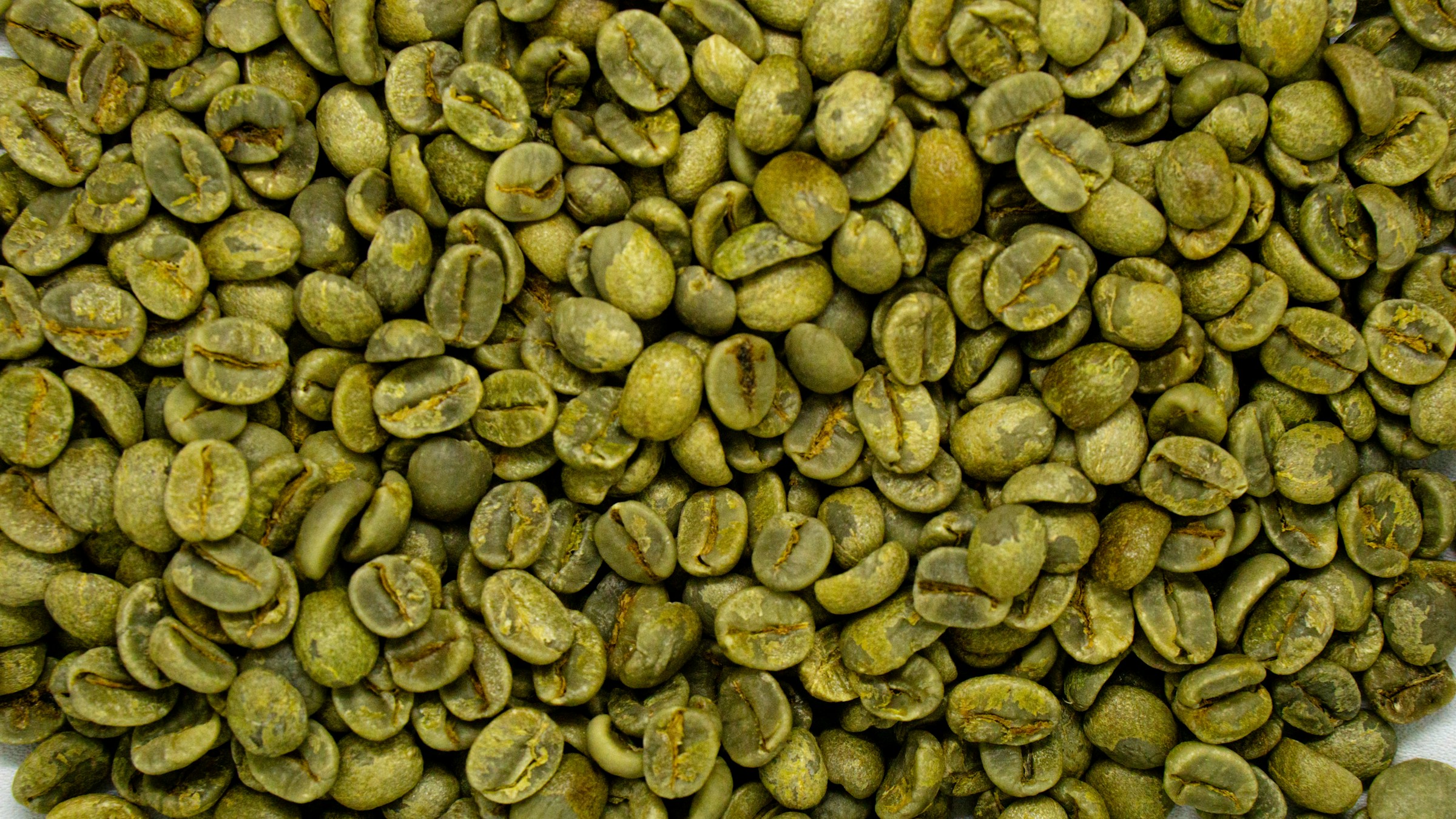 البن الأخضر